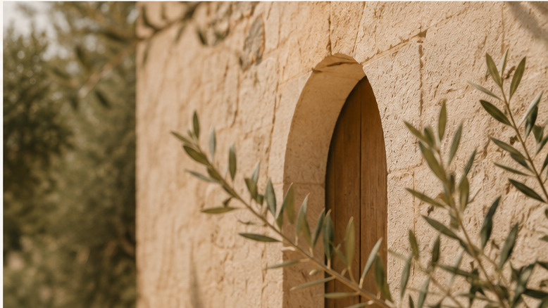Stone archway framed by olive branches in golden light